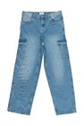 Jeans Indian Blue Jeans