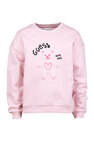 Sweater Guess
