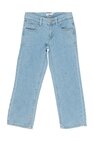 Jeans Indian Blue Jeans