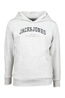 Sweater DC Shoes