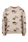Sweater DC Shoes