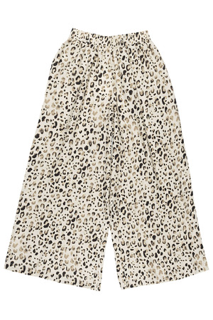 Broek MSCH