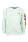 Sweater DC Shoes