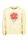 Sweater Name It