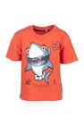 T-shirt met korte mouwen Lyle & Scott