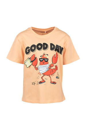 T-shirt met korte mouwen Name It