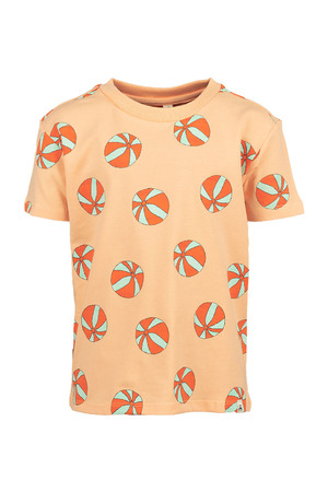 T-shirt met korte mouwen The New Chapter
