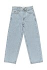 GIANT 2524-100 2