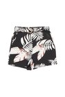 Short Compania Fantastica