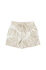 Short Compania Fantastica