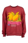 Sweater only girls
