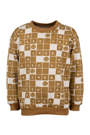 Sweater Sturdy