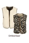 Gilet Only