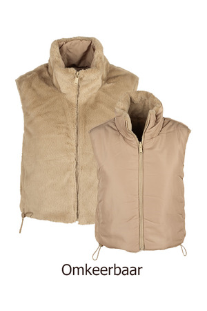 Vest Only