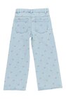FRANCES-SG-33-H 2