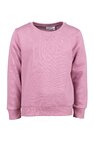 Sweater Name It