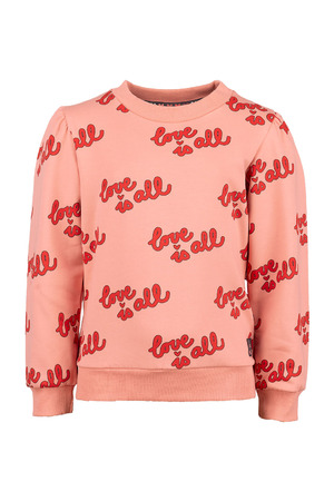 Sweater Jubel