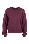 Sweater Only