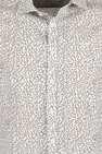 PSI2506231 3