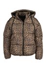 Parka Ragwear