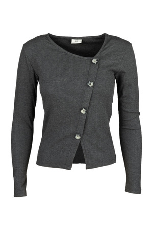 T-shirt met lange mouwen JDY