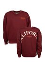 Sweater Jubel