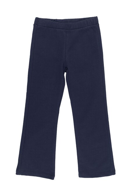 BASICS-SG-37-C
