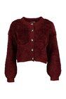 Gilet Only