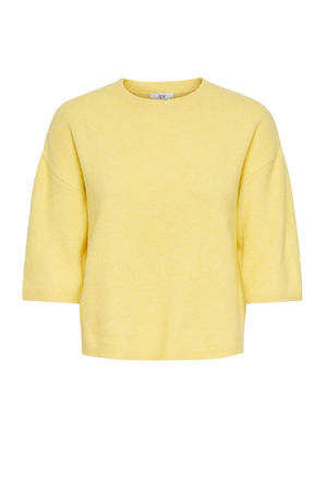 Trui met korte mouwen JDY