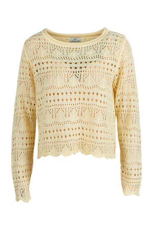 Trui met lange mouwen JDY