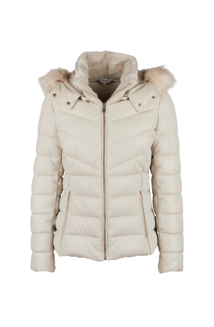  203 ivory