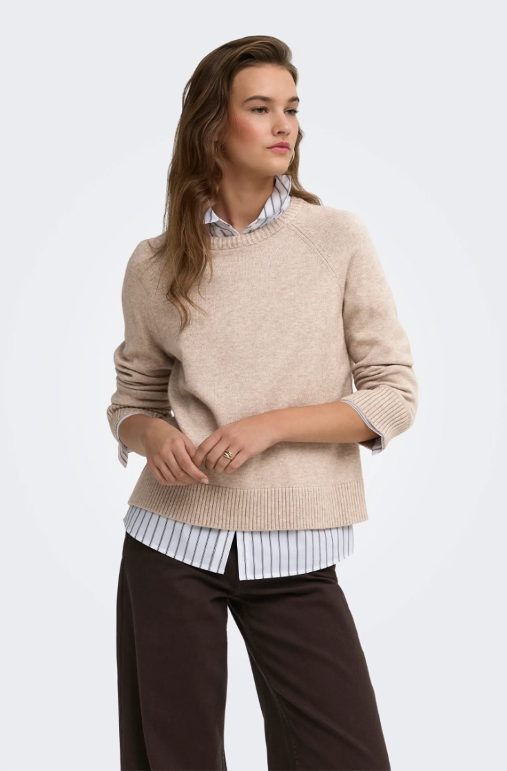 onlprincess ls o-neck raglan k mocha meringue 