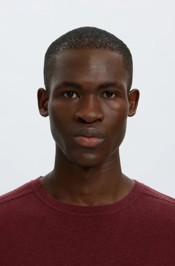 slhberg crew neck tawny port