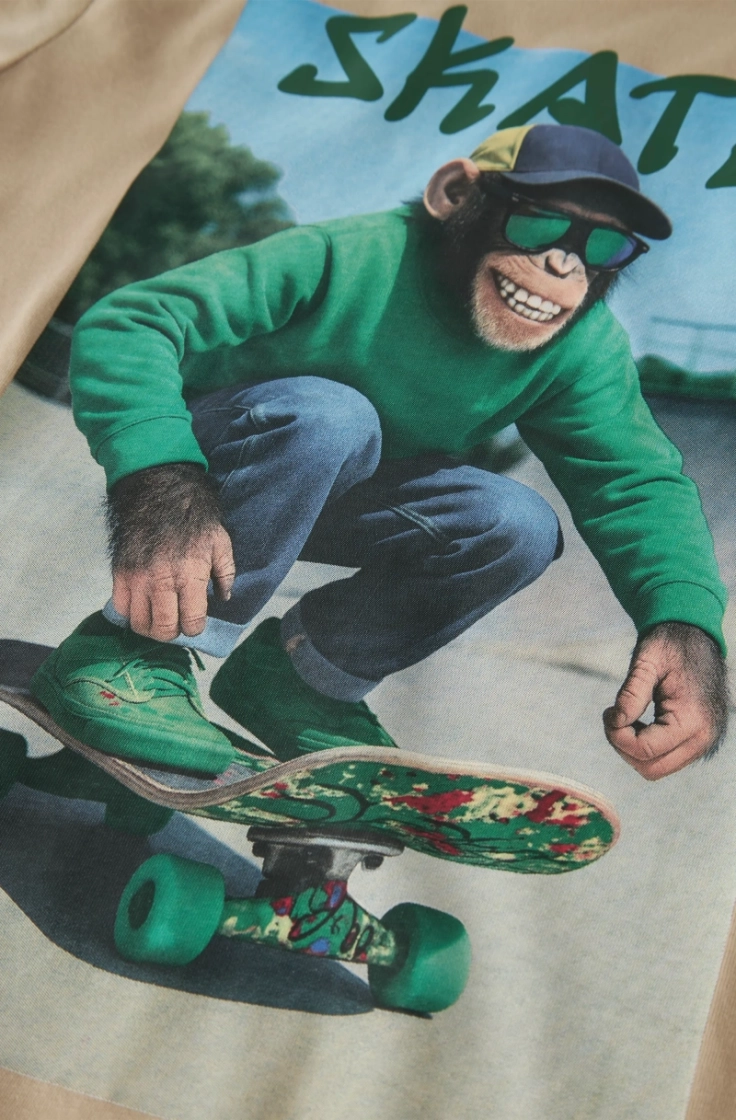 nkmvoto ss nreg top sesame monkey s
