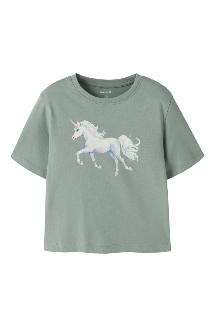 nmfvotea ss nreg top green milieu un