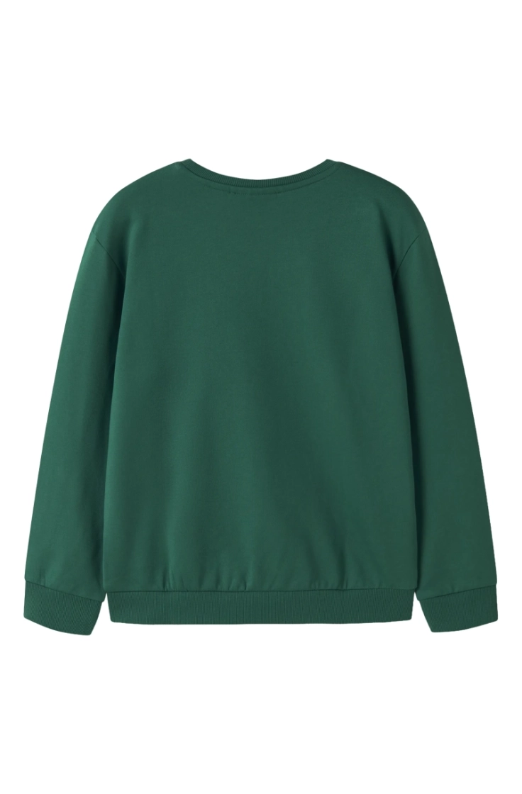 nkmvoto ls nreg sweat bru evergreen space
