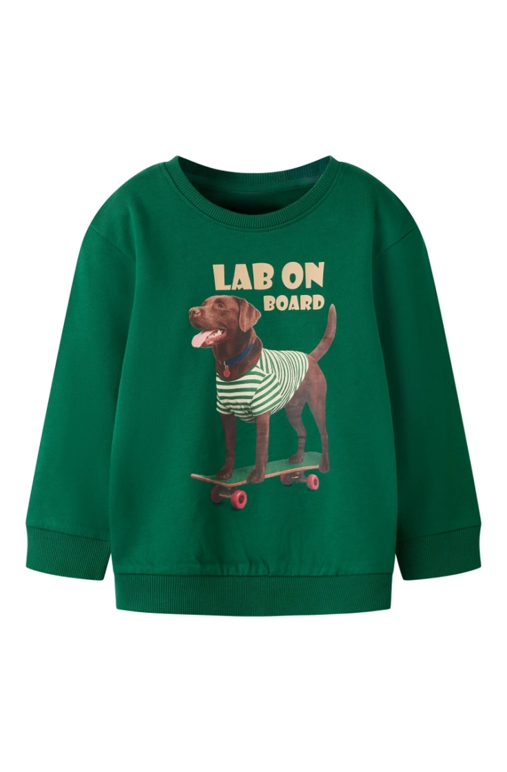 nmmvoto ls nreg sweat bru evergreen dog