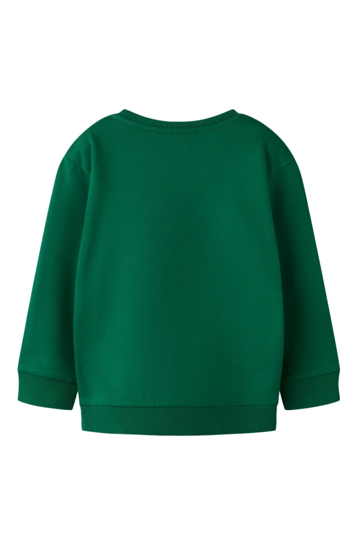 nmmvoto ls nreg sweat bru evergreen dog