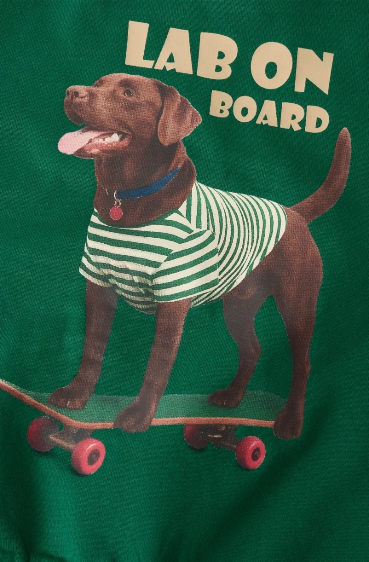 nmmvoto ls nreg sweat bru evergreen dog