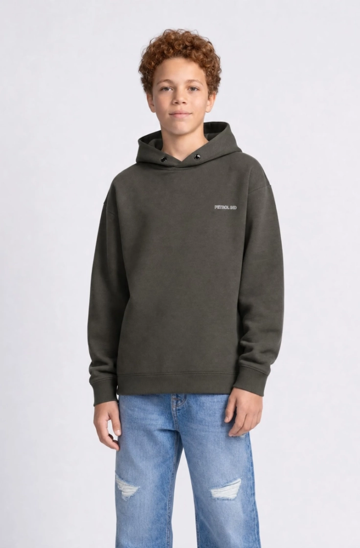  9066 beluga