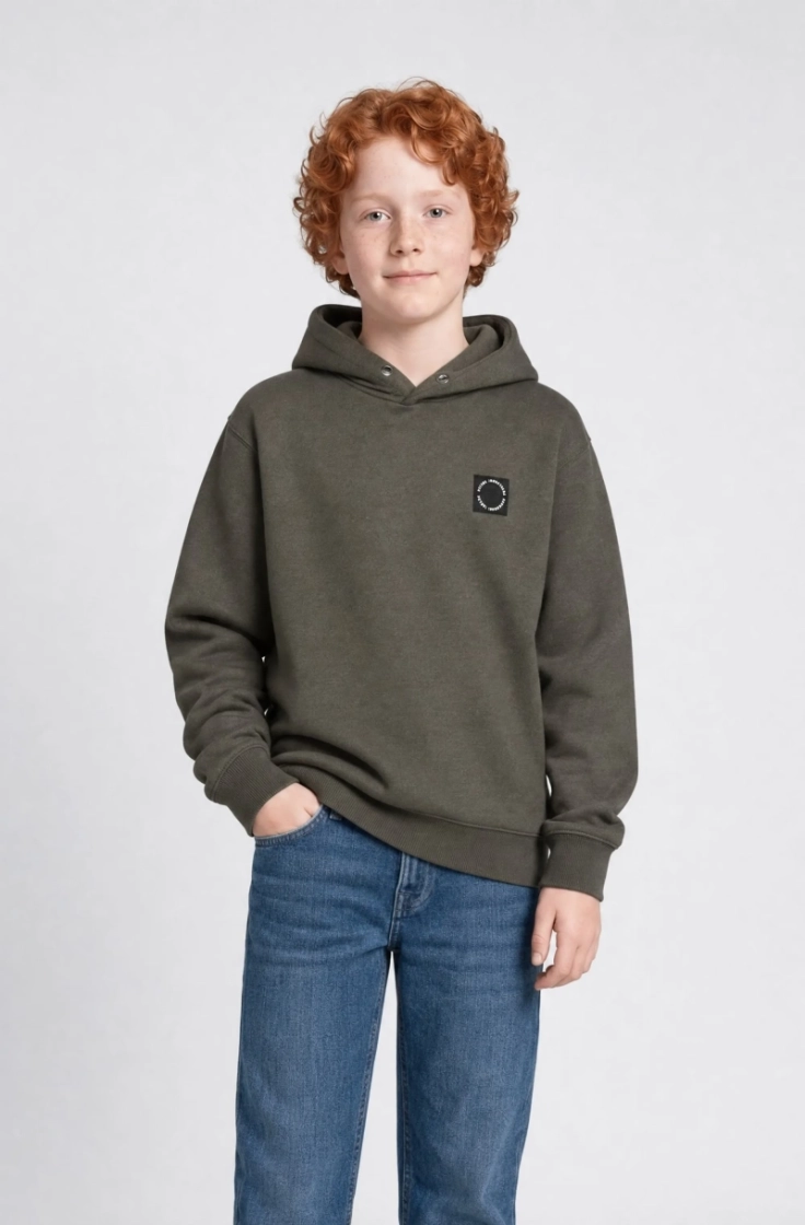  9066 beluga