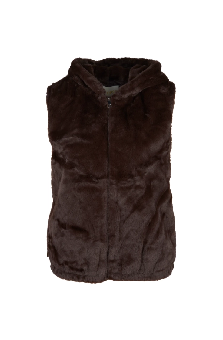  dark brown 19-0
