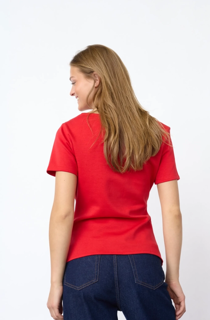 veda-top 500 red