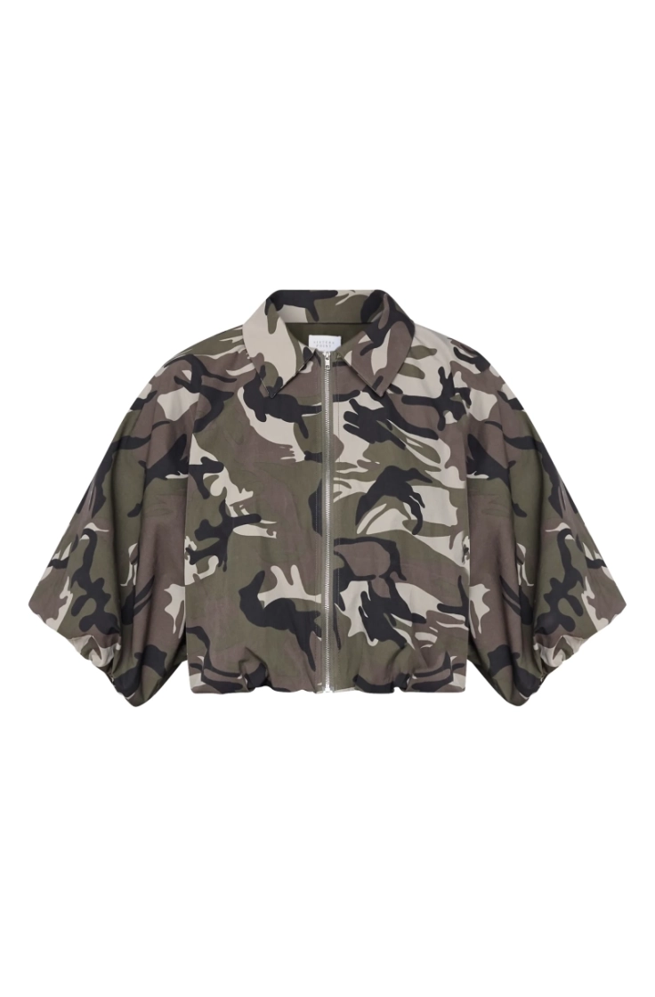 nelly-ja2 850 camouflage